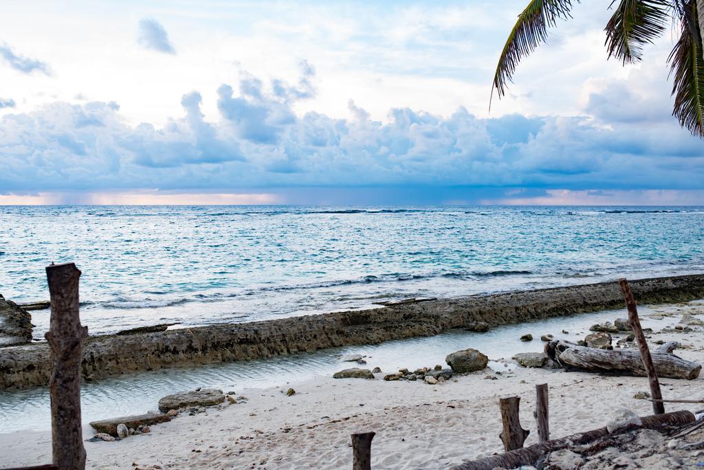 San Andrés The Rock House Eco (Adults Only) Bed & Breakfast エクステリア 写真